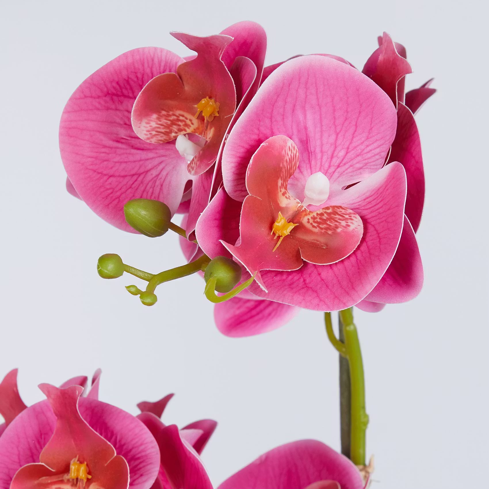FLORISTA Kunstblume Orchidee