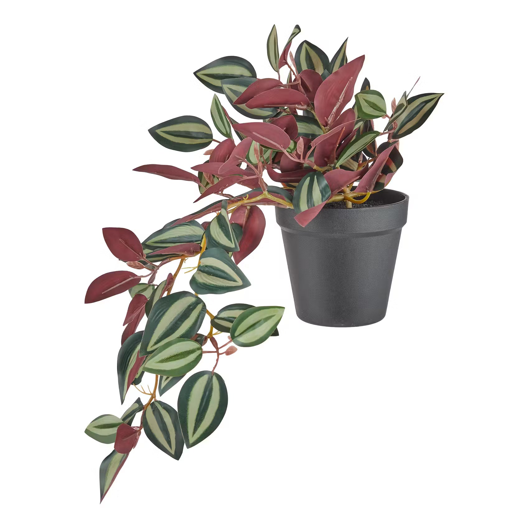 FLORISTA Kunstblume Peperomina argyreia