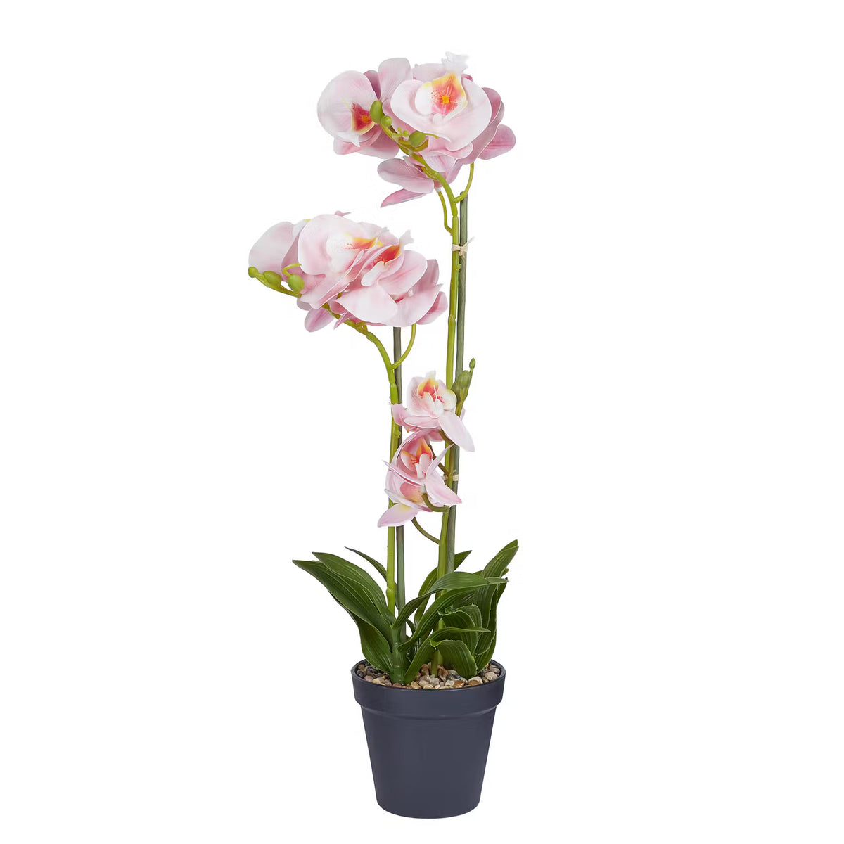 🌸 FLORISTA Kunstblume Orchidee – ewig schön
