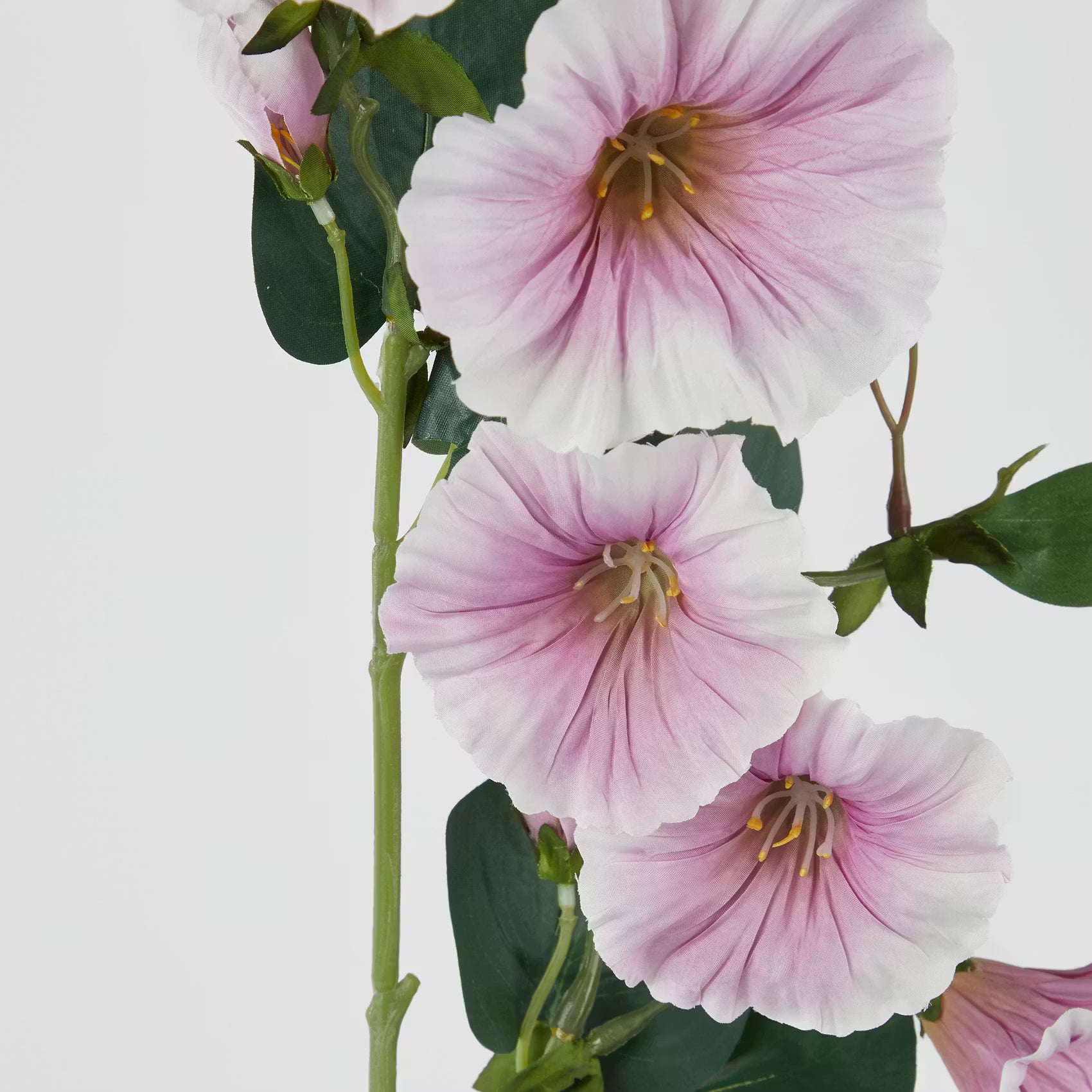 FLORISTA Kunstblume Prunkwide