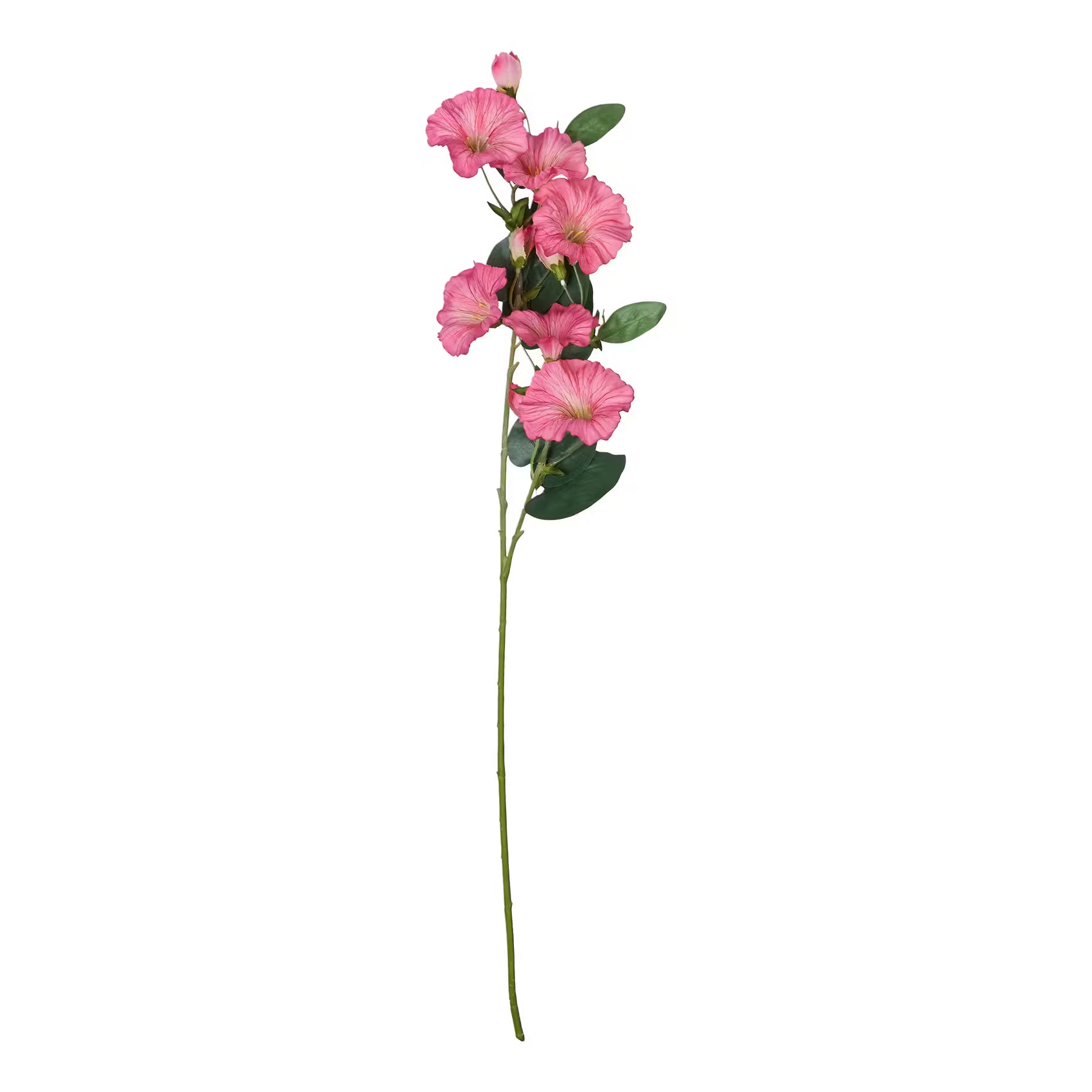FLORISTA Kunstblume Prunkwide - Polyethylen/Eisen - Pink - Pink