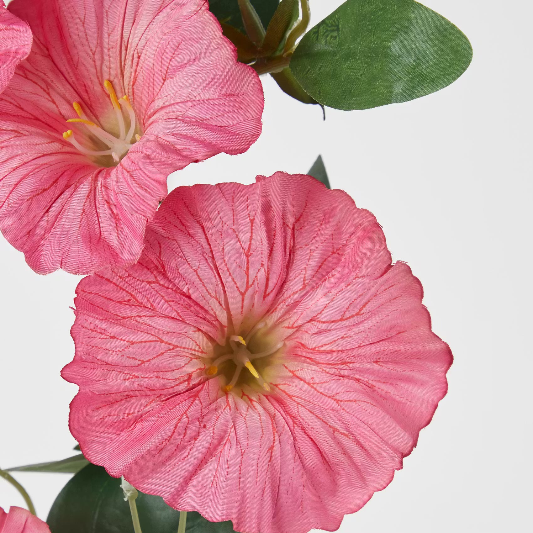 FLORISTA Kunstblume Prunkwide - Polyethylen/Eisen - Pink - Pink