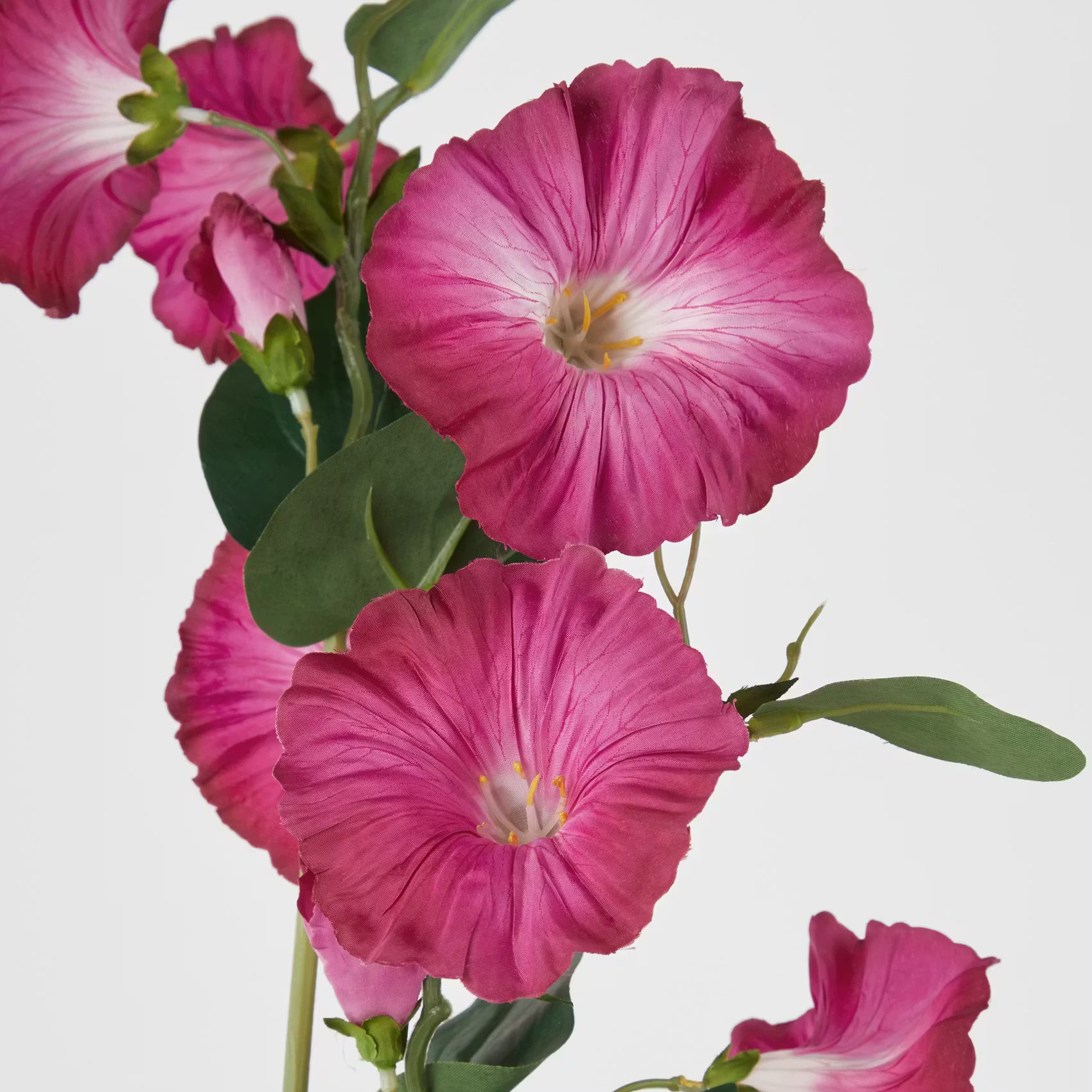 FLORISTA Kunstblume Prunkwide - Polyethylen/Eisen - Beere - Beere