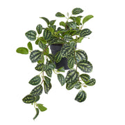 FLORISTA Kunstblume Plea Cadariiere