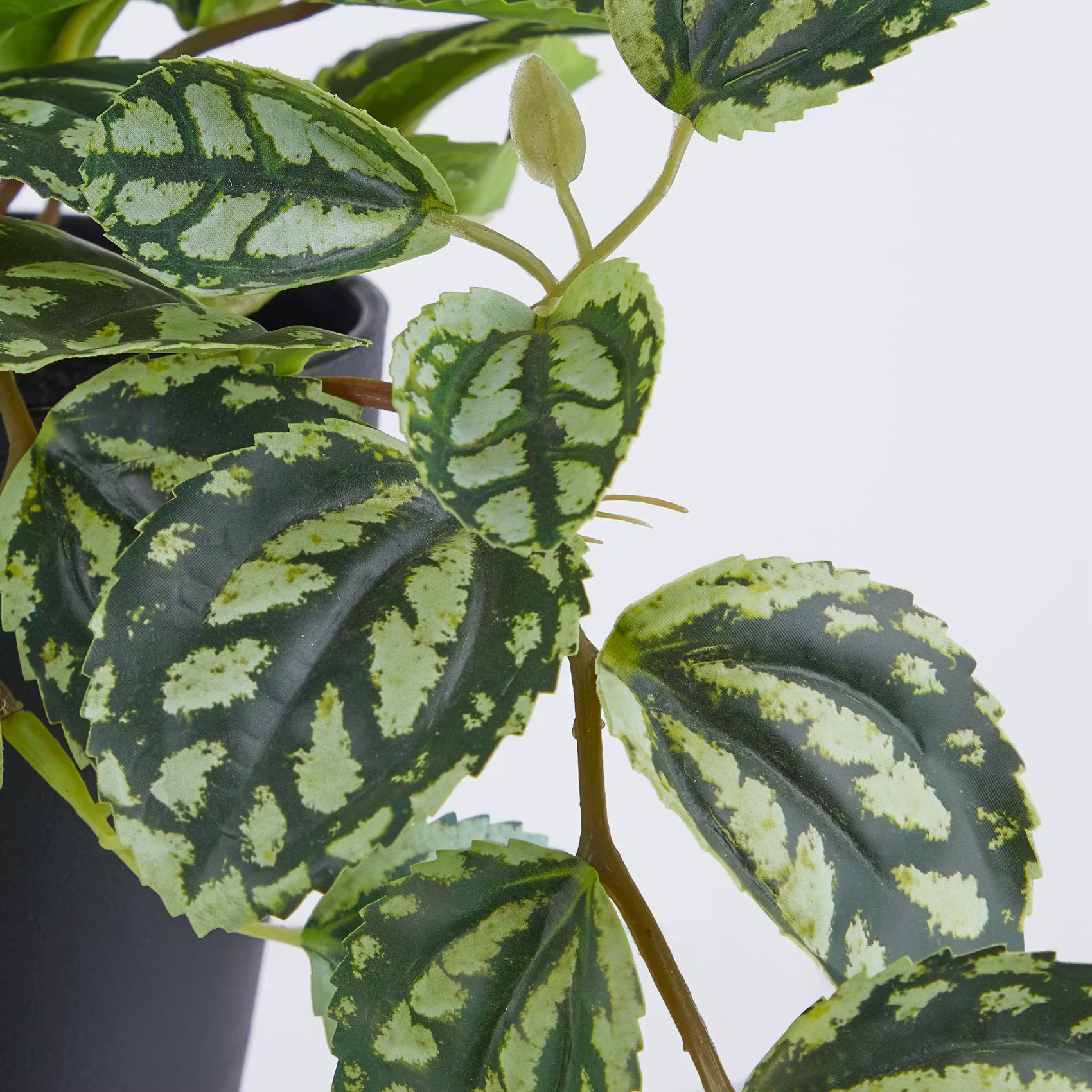 FLORISTA Kunstblume Plea Cadariiere