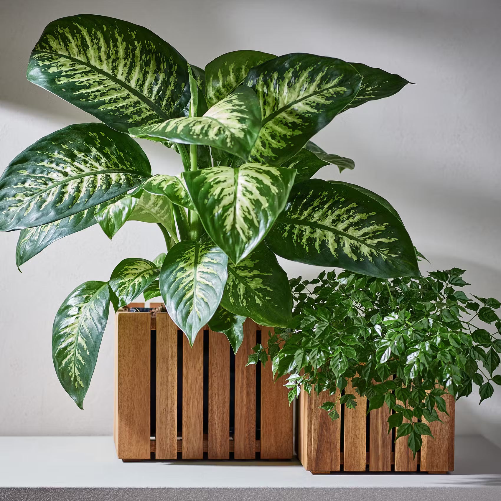 NEW GARDENING Pflanztopf-Set 3-tlg. - Akazienholz/Segelfolie - Braun