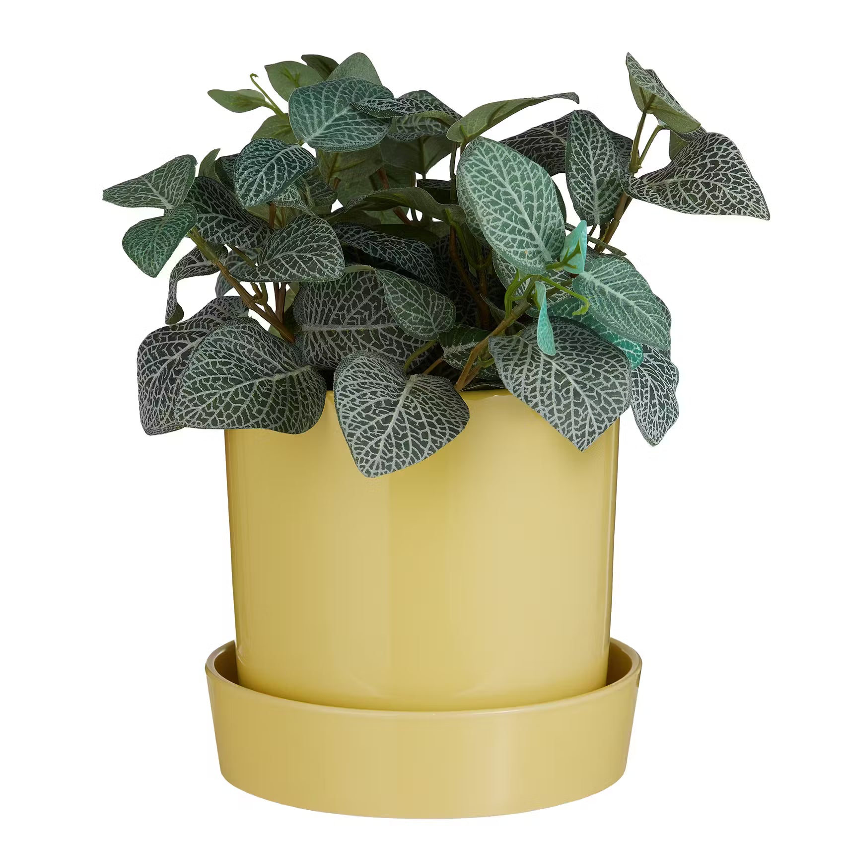 CIRCUS Blumentopf mit Teller