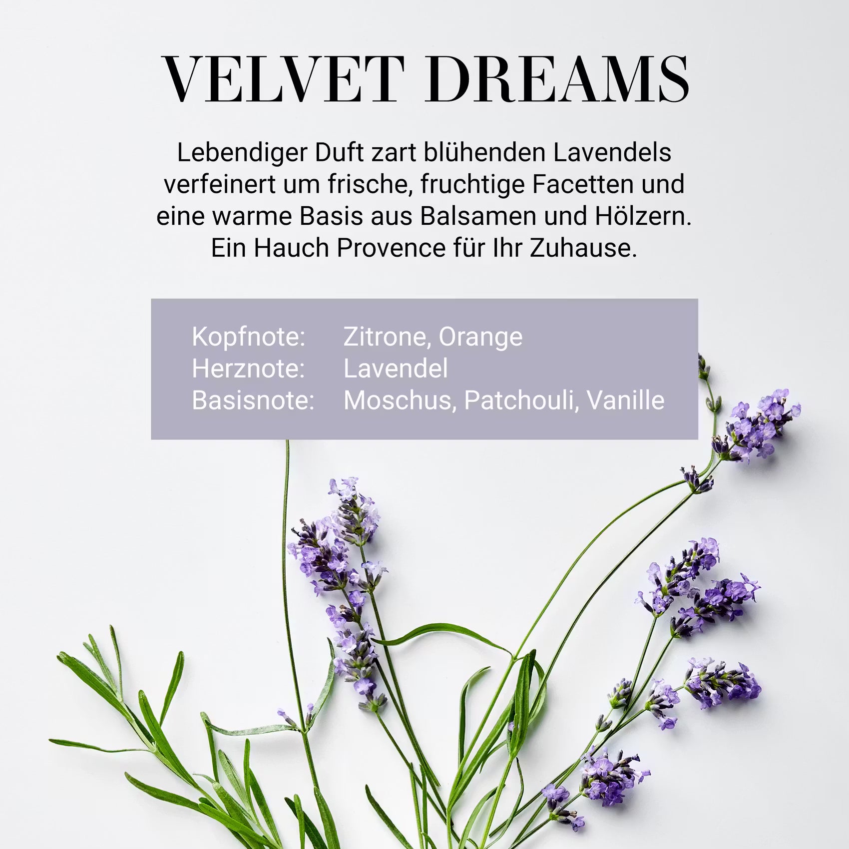 HOME & SOUL Duftkerze Velvet Dreams No.3 - Sojawachs/Paraffinwachs/Duftanteil /Pinienholz - Violett