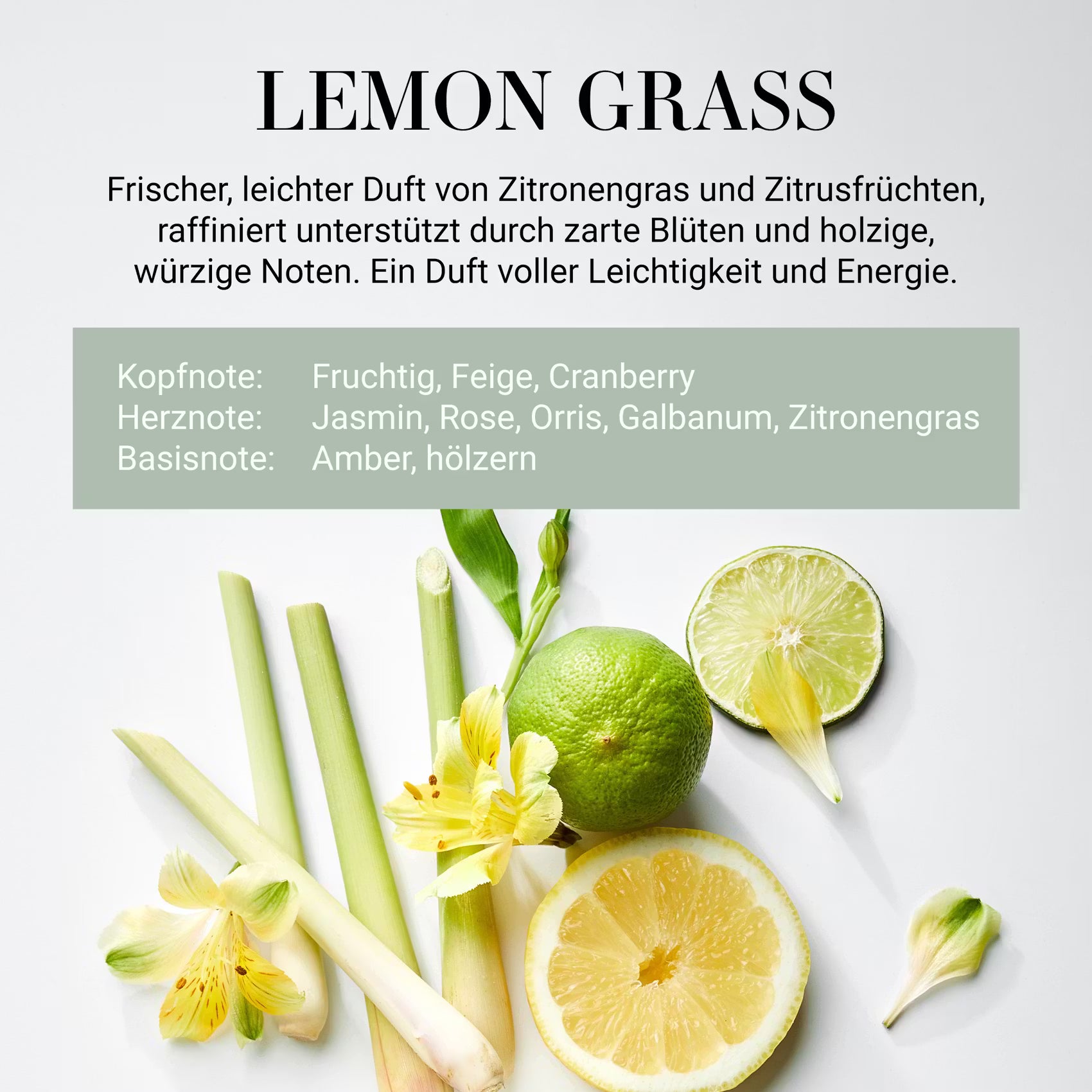 HOME & SOUL Duftkerze Lemon Grass No.4 - Sojawachs/Paraffinwachs/Duftanteil /Pinienholz - Grün