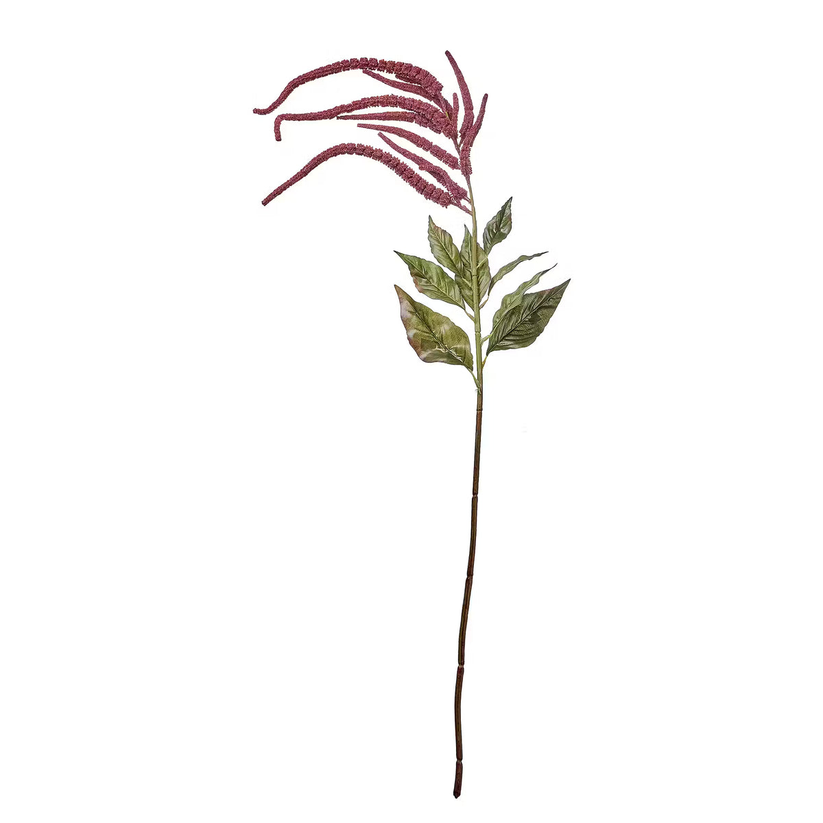 FLORISTA Kunstblume Hirse/Millet - Polyethylen - Rot