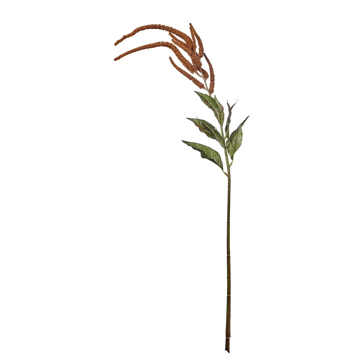 FLORISTA Kunstblume Hirse/Millet - Polyethylen - Braun