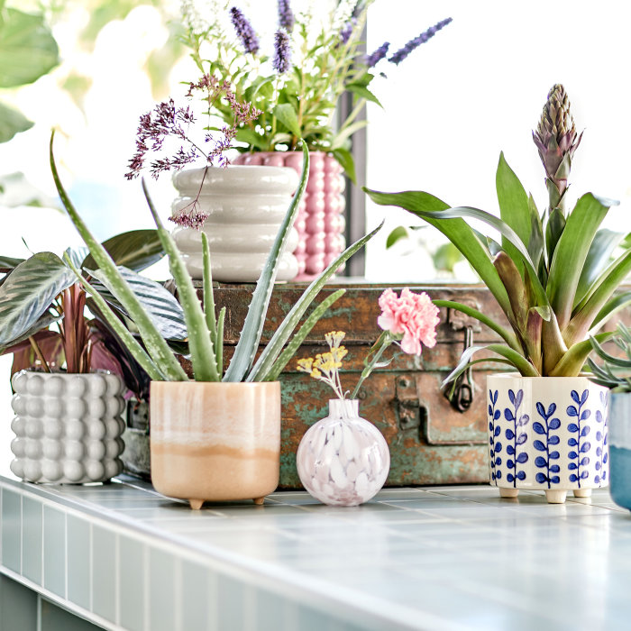 Bunte Blumentöpfe und Übertöpfe aus Keramik und Steinzeug in verschiedenen Größen, bepflanzt auf einer hellgrauen Fliesentheke im Außenbereich.